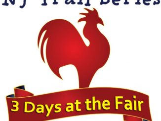 3 days at the fair